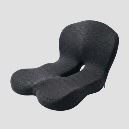 Comfort Hub™ Back Support Cushion